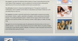Seaside Screenshot 3 – Counselling Approaches